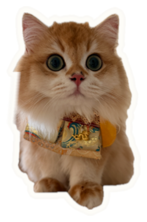 a cut-out photo of a ginger cat, sitting on the desktop