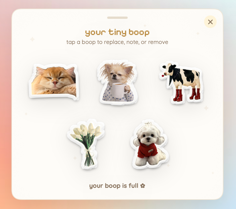 The My Stickers window, showing five cut-out stickers in a grid: a cat, a dog with a mug, a cow, tulips and a small white dog in a jumper
