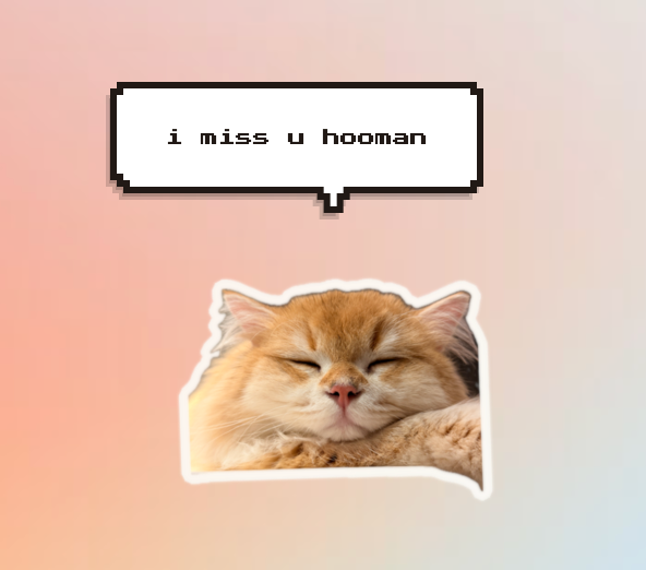 A sleeping cat sticker with a speech bubble reading i miss u hooman